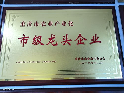 渝米集團(tuán)投資近1000萬(wàn)元大米智能生產(chǎn)線 已完成地面平整